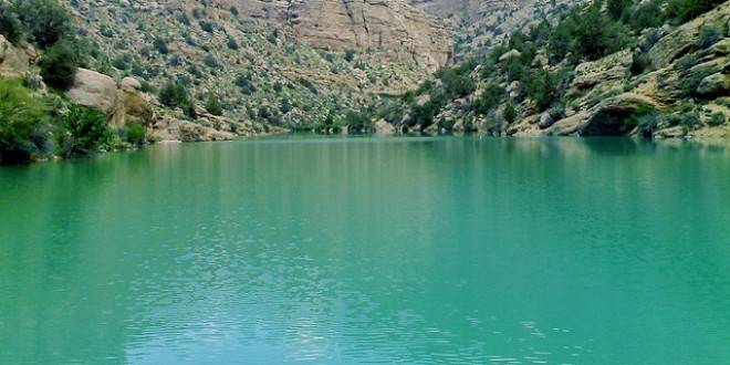 Wali Tangi