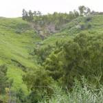 Hills-Kallar_Kahar