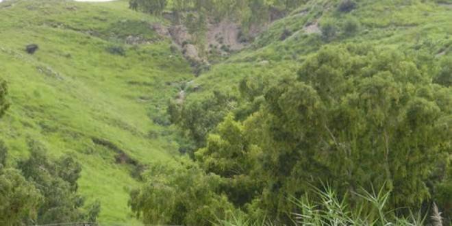 Kallar Kahaar