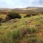 Kirthar_National_Park