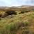 Kirthar National Park – The Hub of Wildlife