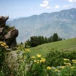 Paye-Kaghan4