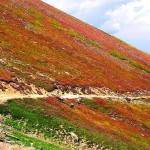 babusar-pass-1