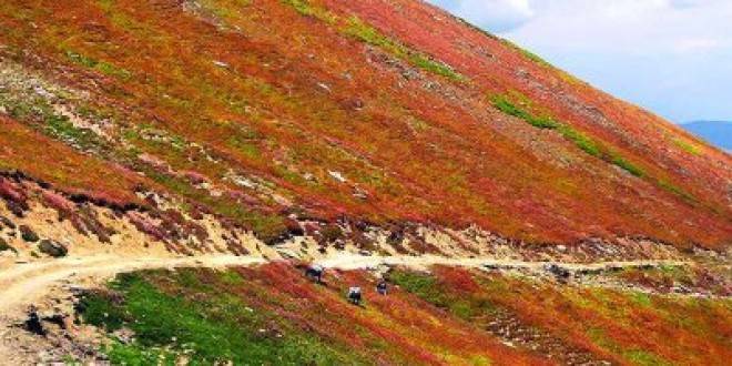 Babusar Pass