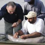 blind_dolphin