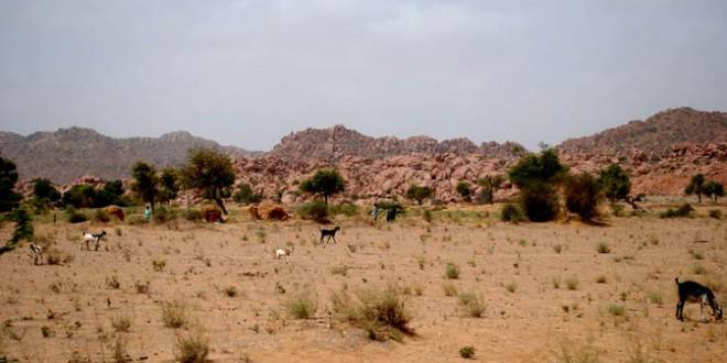 Arid Beauty of Tharparkar