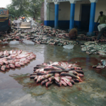 fishing_industry_pakistan