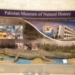 national_museum