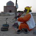 snake_charmer4