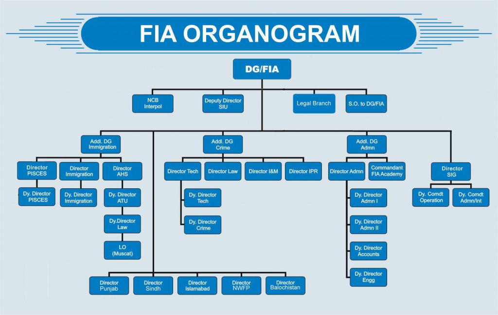 FIA_ORGANOGRAM