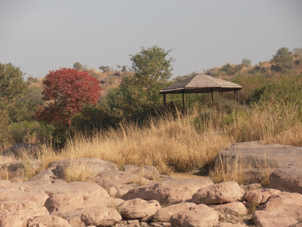 Rawal lake bani gala