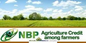 nbp agri loans