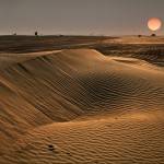 cholistan desert
