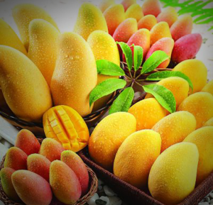 Pakistan Images mangos