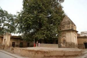 gor-khuttree (6)