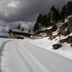 muree-