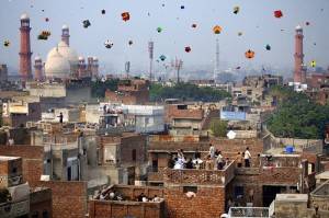 basant (8)