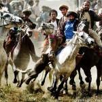 BUZKASHI