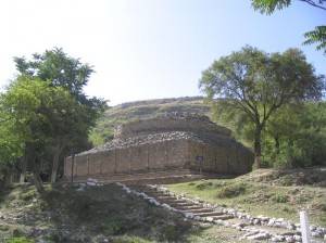 mohra_moradu (1)