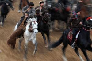 buzkashi1